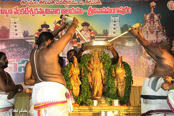 Tirupati: Annual Vasanthotsavams in Sri Kalyana Venkateswara Swamy temple